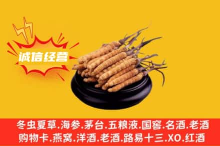 阿克苏地区乌什县回收冬虫夏草